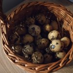 phoca_thumb_m_krteci a zvtka 23 Fotogalerie